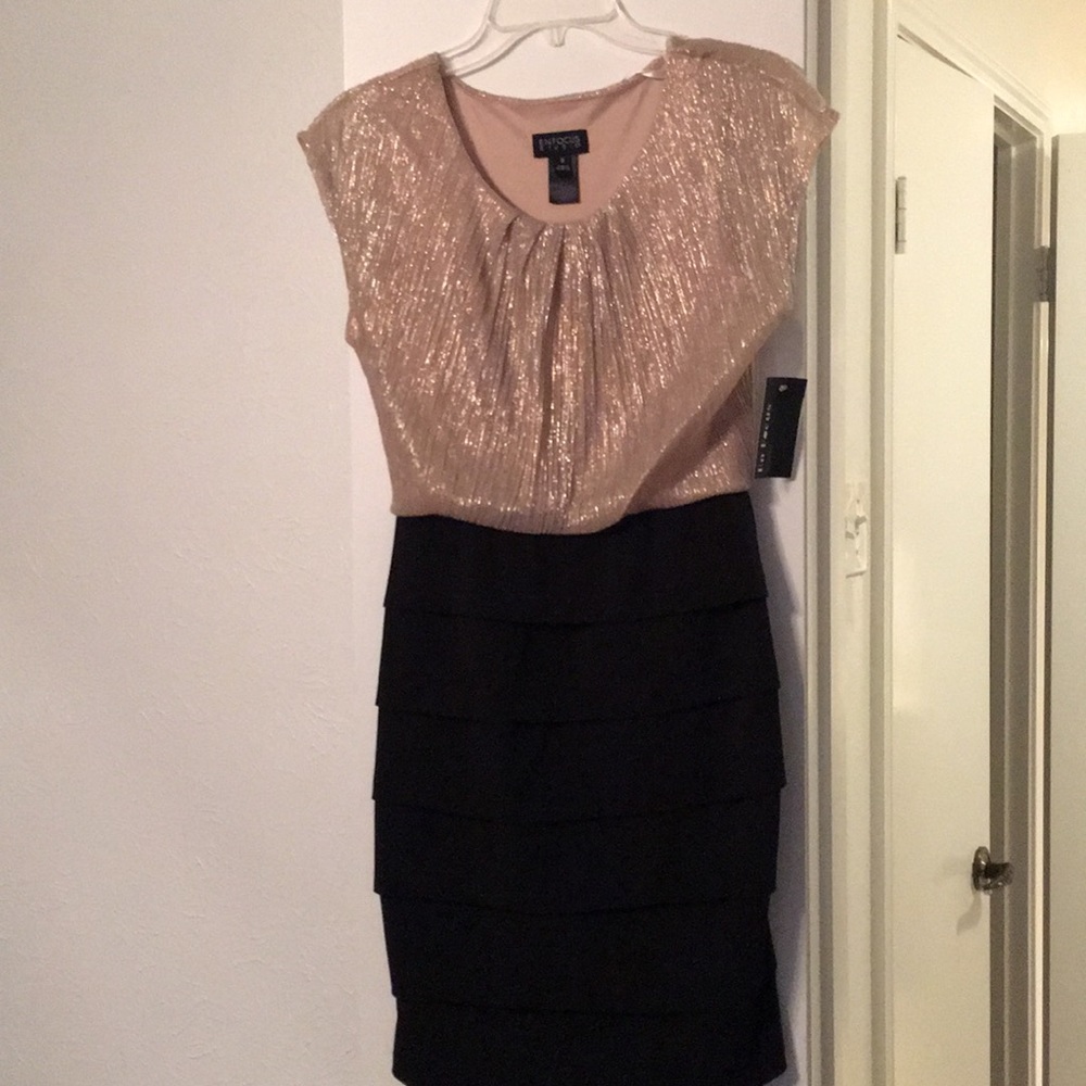 En Focus Studio Dress, size 8